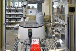 Mehr Produktionsassistent als Roboter