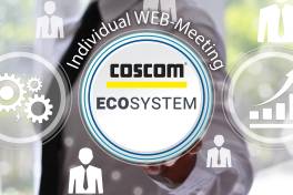 Individual Web-Meetings – intelligentes Prozess-Consulting im virtuellen Meetingroom