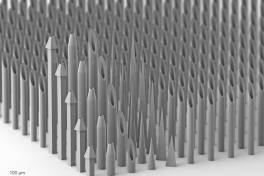 Nanoscribe präsentiert Quantum X shape, einen ultra-präzisen 3D-Drucker für fortschrittliche Anwendungen in der Mikrofabrikation