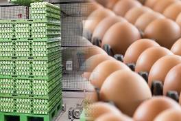 Automatisierte Serienproduktion für Eier