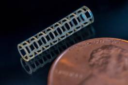 Kooperation ermöglicht bioresorbierbare Materialien im Mikro-3D-Druck 