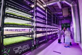 Vertical-Farming-Pionier Ultragreens setzt auf Kabel und Leitungen von Helukabel