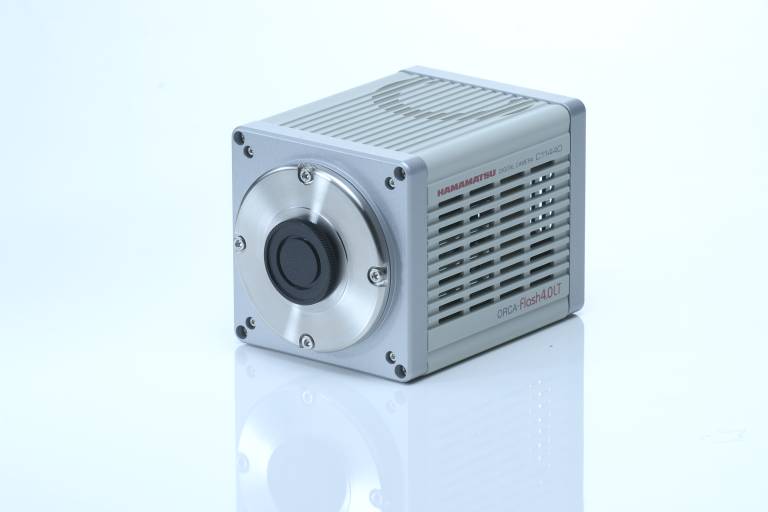 Die Kombination aus hoher Quanteneffizienz und niedrigem Rauschen erlaubt es der Orca-Flash4.0 LT Bilder von hoher Qualität zu liefern. 