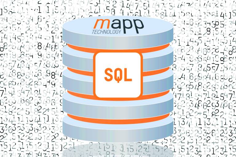Mit mapp Database lassen sich sowohl die Daten von mapps als auch Anwenderdaten übersichtlich in einer SQL-Datenbank verwalten. 