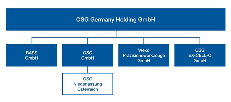 Die neue Holdingstruktur der deutschen OSG-Gruppe.
© Bass GmbH



