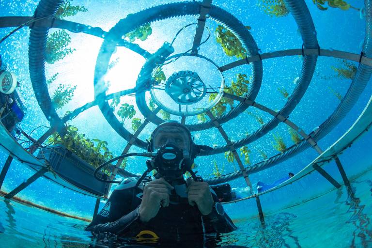 Nemo's Garden ist ein Startup, das sich auf den nachhaltigen Unterwasseranbau von Nutzpflanzen spezialisiert hat.  
