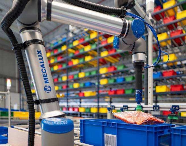 Die 3D-Bildverarbeitungssoftware Simatic Robot Pick AI ermöglicht Robotern das Greifen beliebiger Artikel in Lagerkommissionieraufgaben, unabhängig von Form und Größe. (Bild: Siemens)