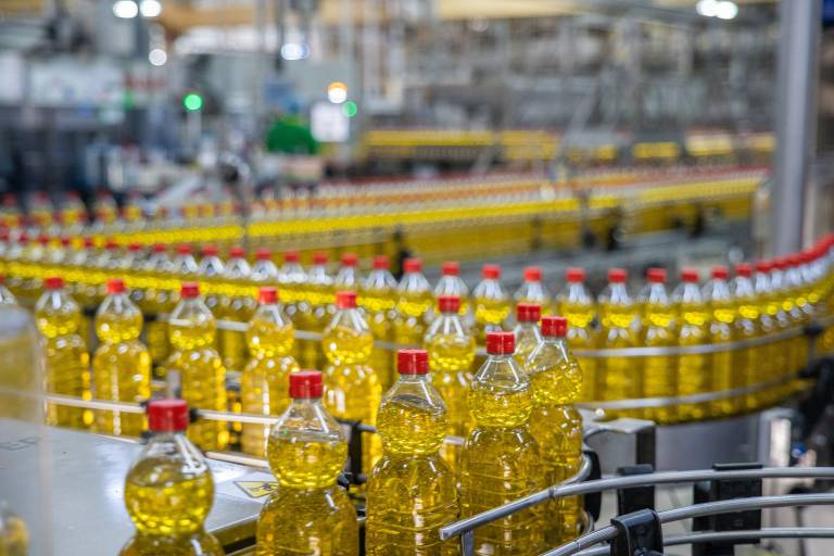 Eine der größten Herausforderungen bei der Olivenölproduktion ist die variierende Qualität des ungefilterten nativen Olivenöls. F&E spielen bei der Herstellung eine tiefgreifende Rolle. 
